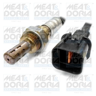 Oxygen Sensor